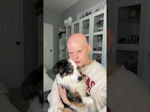 Did my dog