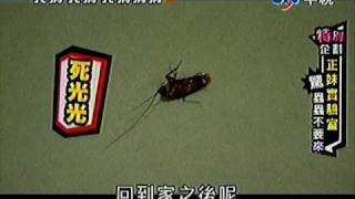 20100612我猜我猜我猜猜猜正妹實驗室-夏日蟲蟲危機上.mpg