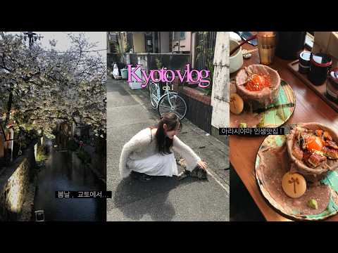 벚꽃 한가득 보고 온.. 교토 vlog 🍵 | 아라시야마.인생맛집.카페.자전거대여.기요미즈데라.청수사 | kyoto vlog ep.01