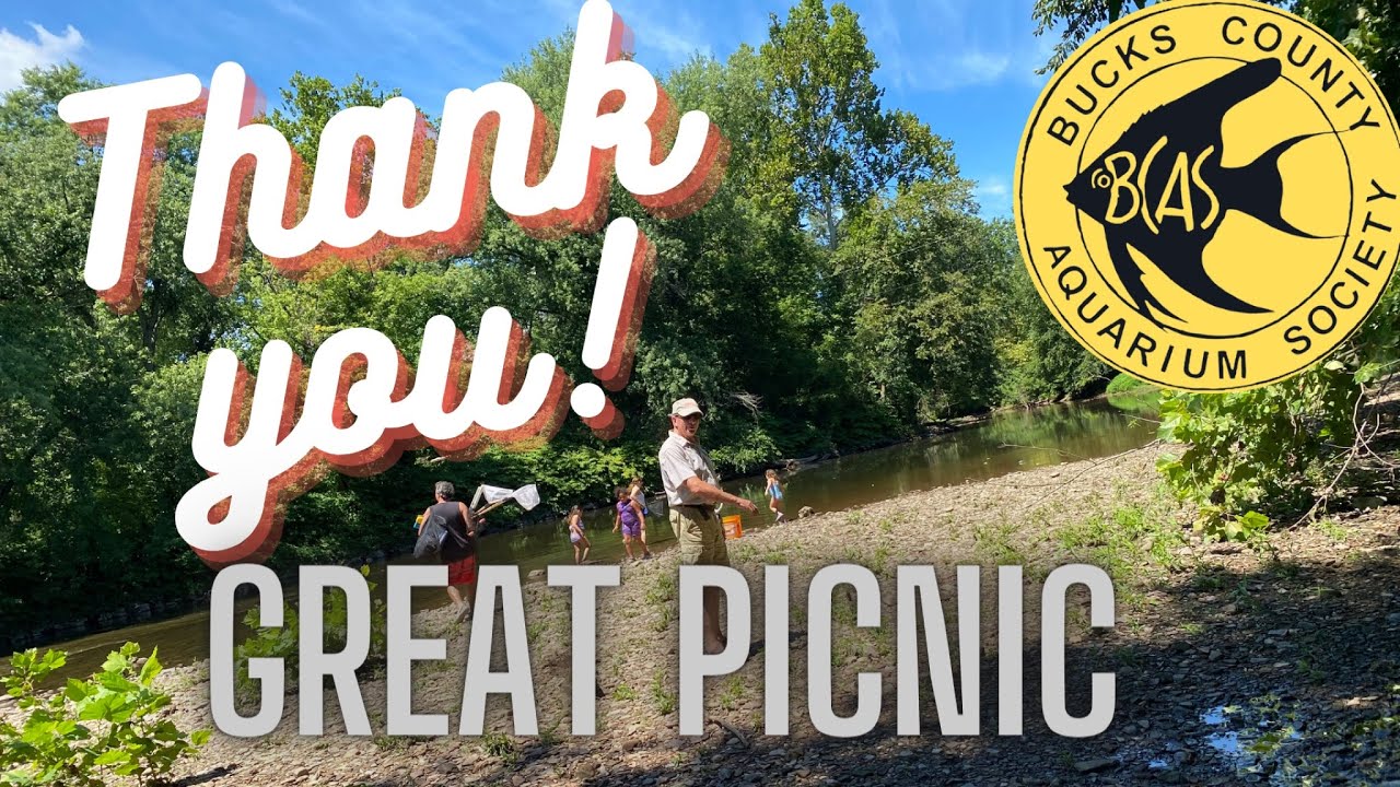 Bucks County Aquarium Society Picnic 2022