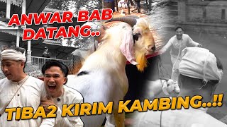 Download Lagu KAMBING CROSS BOER TIBA-TIBA DATANG !!! MP3 Download Lagu KAMBING CROSS BOER TIBA-TIBA DATANG !!! MP3