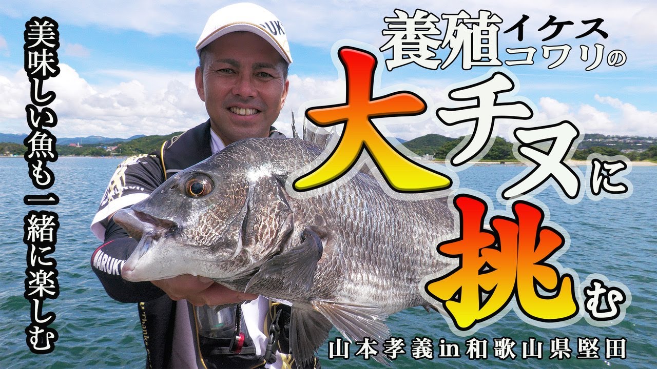 山本孝義が養殖コワリの大チヌに挑む