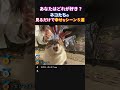 ネコさん達の見てるだけで幸せなシーン5選 #猫 #2ch動物スレ #shorts