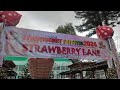 The la trinidad strawberry festival 2024 sirom ni duting strawberry festival latrinidad