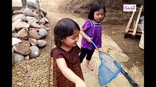 Menangkap Kupu-Kupu | Catching Buterfly