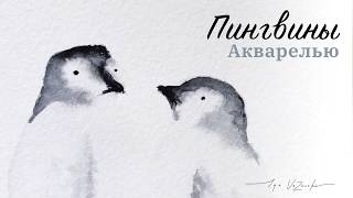 АБСОЛЮТНЫЕ милахи! Влюбленные пингвины за 2 минутки! АБСОЛЮТНЫЕ милахи! Влюбленные пингвины за 2 минутки!