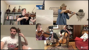 Learn about the string family
