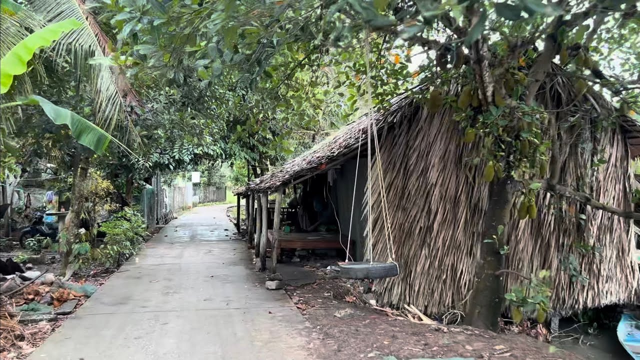 Nhà Lá Ven Đường Cảnh Quê Buồn Thúi Ruột, Bà Con Đi Xa Hết Rồi, Đường Quê Vắng Vẻ Quá.