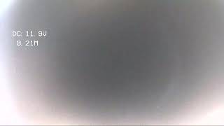 17174  Hartwell Detroit Mi 48235