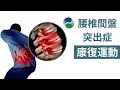 腰椎間盤突出居家運動，簡單有效緩解腰腿痛 | Easy Exercises for Bulging Disc & Sciatica