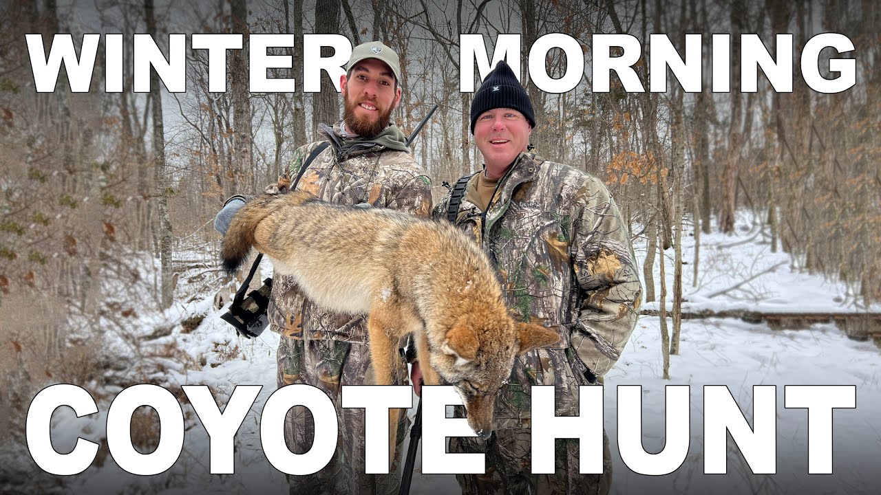 Coyote Hunting a NearPerfect Morning in Kentucky YouTube