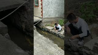 Dragon सप New Viral Gadgets, Smart Appliances, Kitchen Utensilshome Inventions