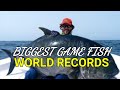 Biggest game fish world records  saltwater  ikan terbesar