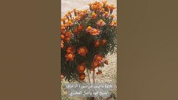 الأخلاء يومئذ بعضهم لبعض عدو إلا المتقين | ماتيسر من سورة الزخرف | الشيخ فهد واصل المطيري