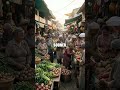 Potatoes That Rewrote Empires: A Fertile Crescent Switch