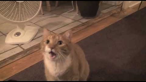 Shortest Video on Youtube Part 13