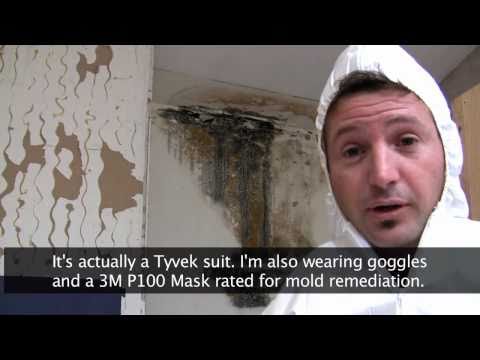 Killing Toxic Black Mold - How to Remove Mold Safely