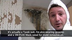 Killing Toxic Black Mold - How to Remove Mold Safely 