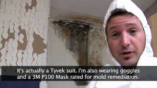 Killing Toxic Black Mold - How to Remove Mold Safely by Corey Binford 1,715,287 views 13 years ago 5 minutes, 15 seconds