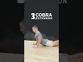 Sciatica?? Try These 3 Exercises
