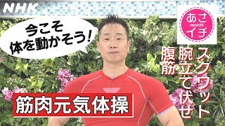 [あさイチ] 筋肉元気体操～自宅でできる”やさしい”筋トレ！～ | NHK