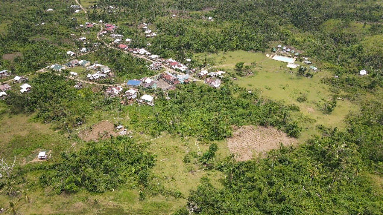 4.5 Hectares titled lot for Sale BOHOL Property for SALE BOHOL Philippines YouTube