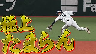 源田壮亮の『極上たまらん』に解説者も思わず…