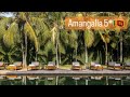 Amangalla 5* бутик отель Vip уровня в центре Галле #шриланка