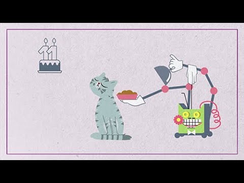 Video: Veel Oudere Katten Krijgen Niet Het Juiste Voer