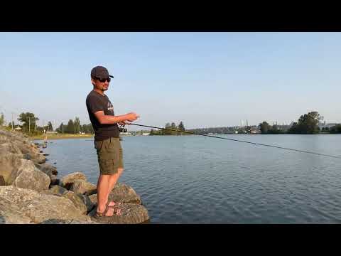 Come Fishing For Pink Salmon With Me Fishing With Rod Live