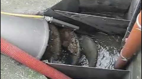 OR-TEC Screw Screen Compactor