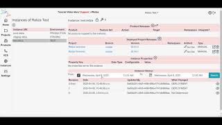 Reliza Hub Approval For Any CI CD - Feature Demo