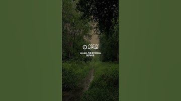 ناصر القطامي | سورة الاخلاص | #quran