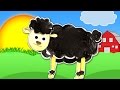 Baa Baa Black Sheep Nursery Rhyme with Lyrics | English Nursery Rhymes For Children