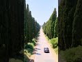 Viale dei Cipressi - Bolgheri, Tuscany