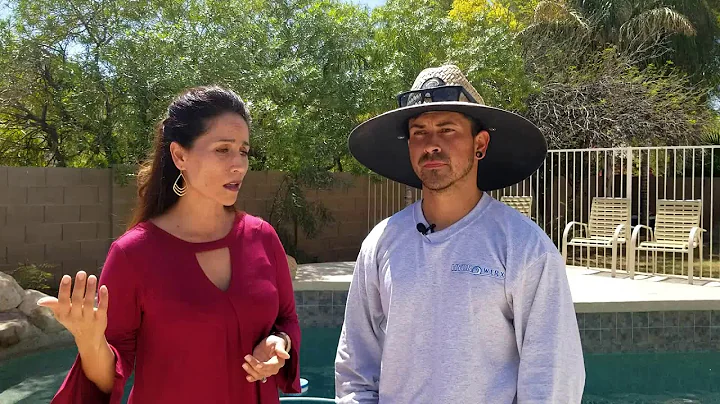 West Valley Local - Episode #6
