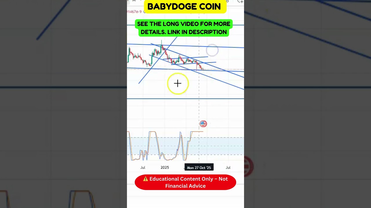 BabyDoge Detailed Analysis — Must Watch Levels!
