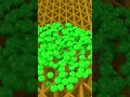 Brainrot Face Ball Falling 146 😱 #roblox #satisfying