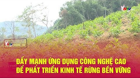 Đẩy mạnh ứng dụng công nghệ cao để phát triển kinh tế rừng bền vững