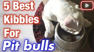 5 best kibbles for pit bulls that are affordable!