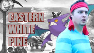 "A Professor Leaves A Trail" Eastern White Pine Episode 2
