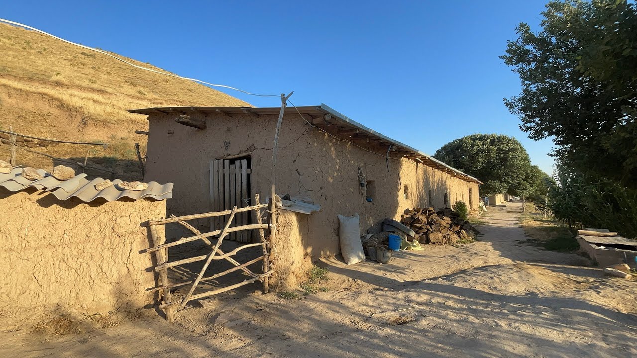 TOG’DA 1 kun YASHASH - ТОГДА 1 Кун ЯШАШ