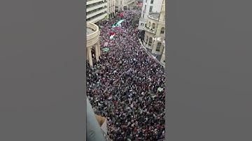 Thousands attend pro-Palestine march in London