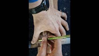 BENCH TOP | Building a guitar prototype - Cutting the fretboard