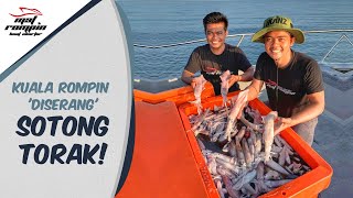 Where Can You Find A SQUID PARTY In Pahang, Malaysia? Let’s Jigging With Mat Rompin Boat Charter!