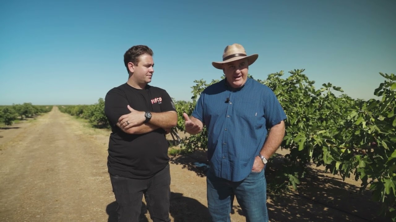 GROWN by | Pipco Fruit Company: Fresh California Figs