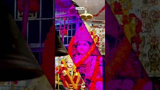 #jabalpurmarket #ma #narmada #wildlife #love #song 💖💖💗💗🕉🕉🙏🙏