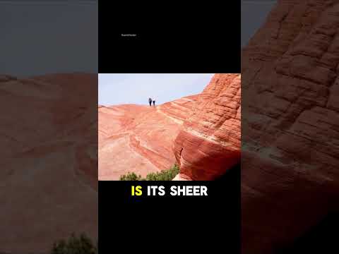 Canyonlands National Park Utah | #shorts