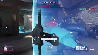 Probably What It Is Like To Be A Bee