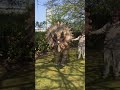 Hire Tank The Triceratops Dinosaur | Trained to Dance | Hire Dinosaurs